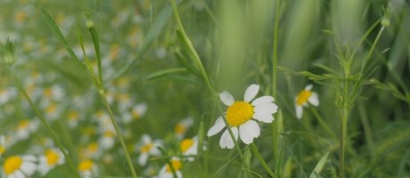 _159418.jpg
