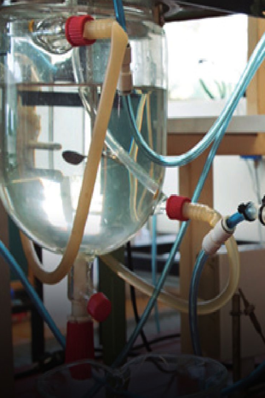 Química