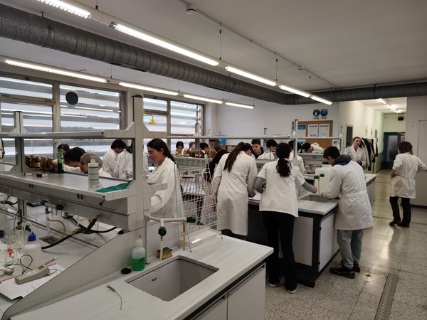 Taller química Peguera 03.png